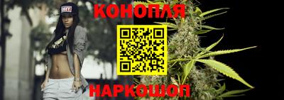 Альфа ПВП Новодвинск