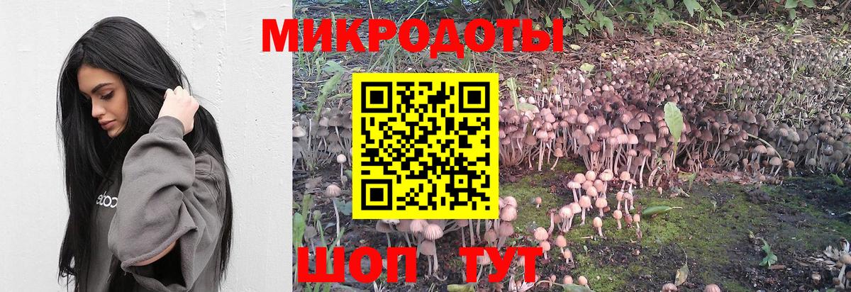 Псилоцибиновые грибы MAGIC MUSHROOMS  Вход с VPN  Шатура 