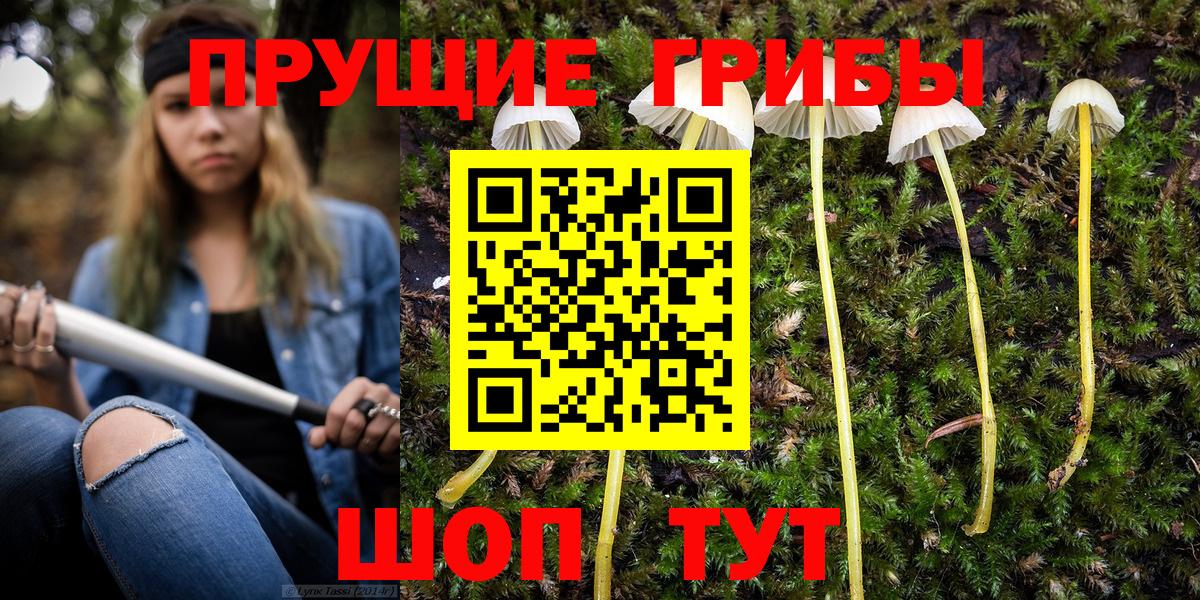Галлюциногенные грибы Magic Shrooms Шатура